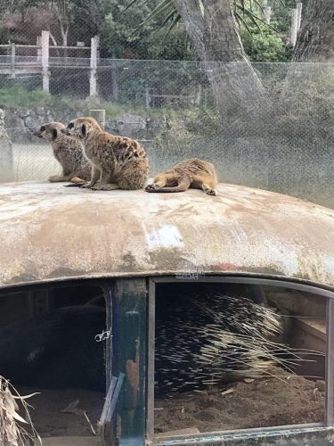 148dbe8c-c922-4a06-a678-63ecd4b560ee