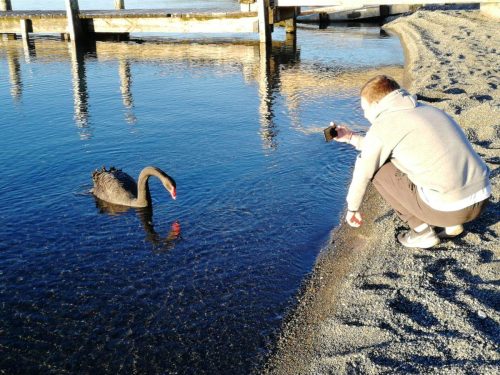 1 img 20190722 164014