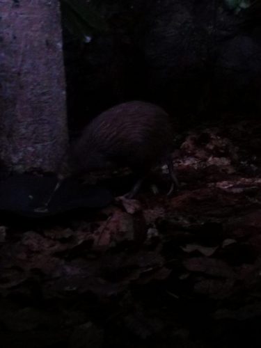 1 img 20190728 134210