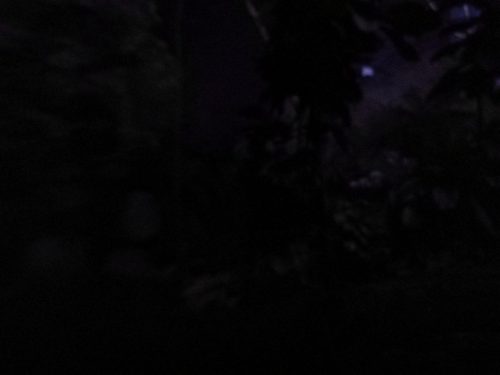 1 img 20190728 134654