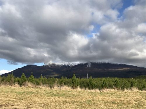 1f2e4c96-44b7-4d0f-8f77-23b6596f5f11