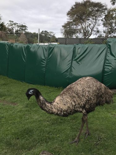 1f5fdf05-4c63-4bba-9724-e1ad23c3b3cd