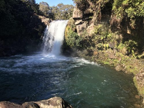 1fd7e4ab-4730-4836-95f5-9507374a3656