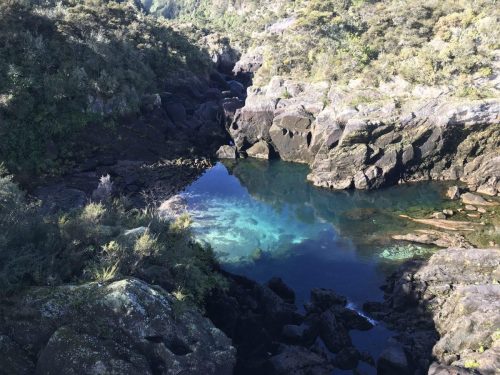 22f01568-2f8c-44dd-9278-e9c294a49917