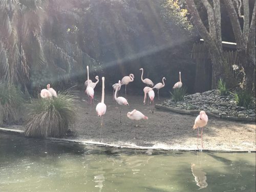 24c841cd-24e0-4244-abd1-a215791bd068