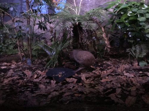 255ccf83-8d27-4c30-9b92-646377fa7f87