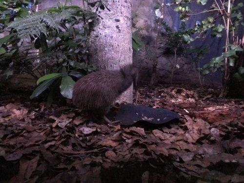 27872742-f1c2-42fa-ba8c-8b086647af7f