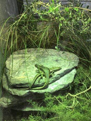 27c0a046-6d27-4bdd-beca-c66270028389