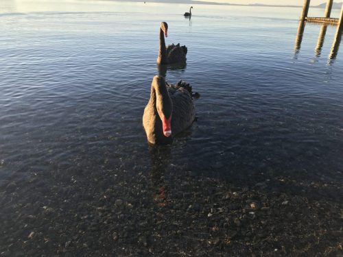 2ab9a1a0-e345-48e9-b1ab-ba713ba9779c