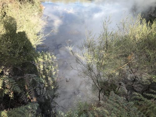 2d754a4f-69d9-41de-9576-e800322386f6