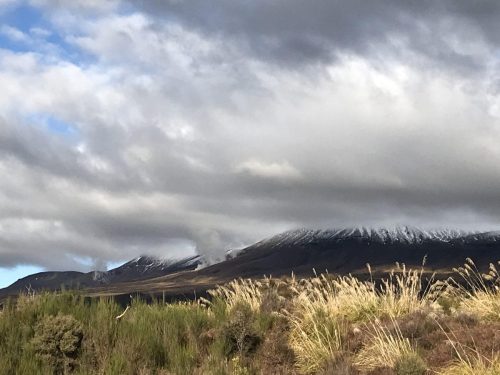 2e5bbbd4-313c-4318-bd3d-f42c2dc041c1