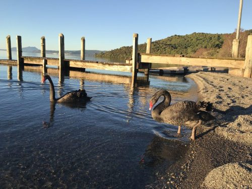 307099e1-414a-45f1-a65f-d2bd5e87abfb