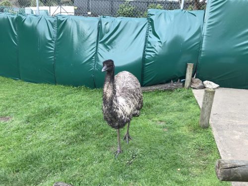 32e3a1dc-832b-4185-9e74-9e4d0289128f