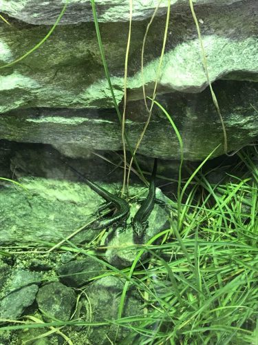 35337329-c71f-4274-84f9-de8dc6541d54