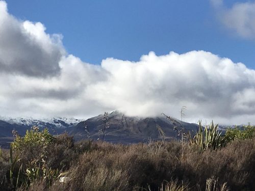 37e81ee6-77cd-44b5-a0f6-677896409274