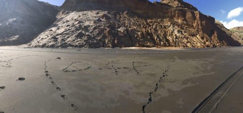 40614558-190d-46e3-8e4f-3fadd1d62055