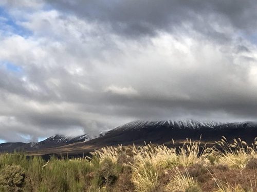 4114b02c-6517-46af-8415-46ca3087219a