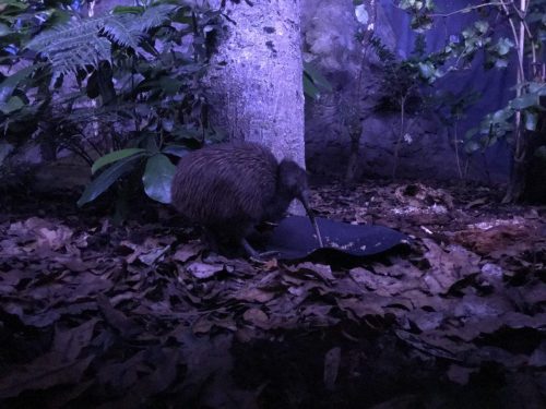 468bcf7e-38ce-4f9c-8f69-2c98f314cafa