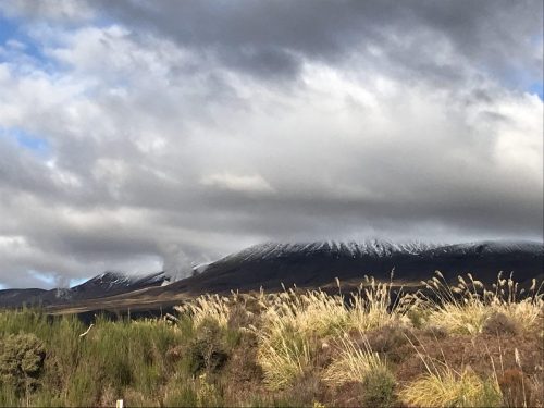 47388842-c410-4254-9bd7-aeca04dedb42