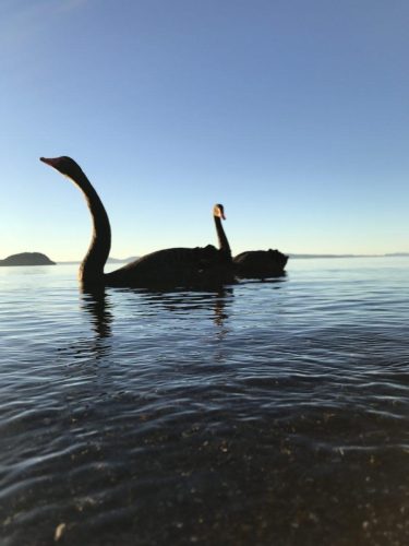 496a60d0-d9be-4e34-b1c5-1a461bda81f4