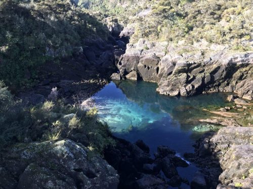 4d92e2b9-4b90-46cc-8468-95fd94a5fe88