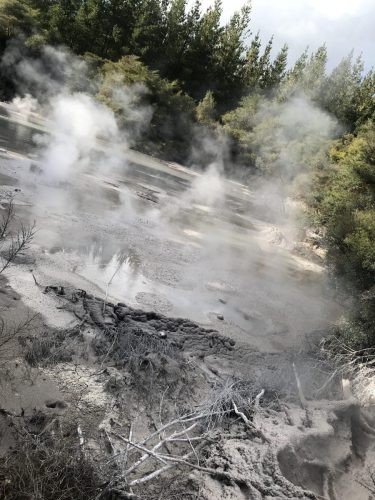 4eda3f74-2363-45c2-b54e-b6047359772f