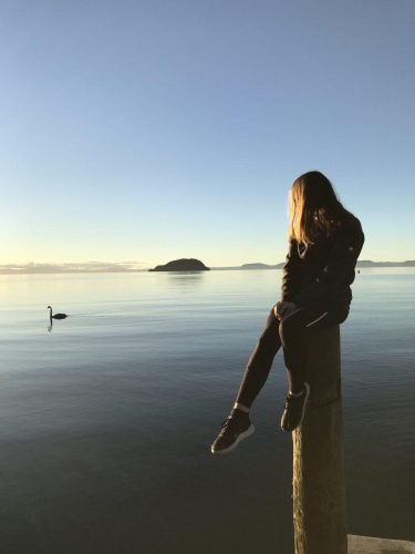 51aa9005-10fe-4ea7-bfc7-1f1e7e0d3b42