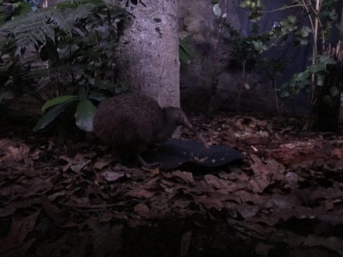 585bd83d-cb63-4012-9804-708f30dc3854