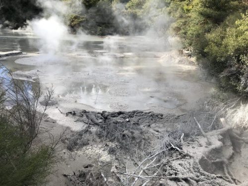 5951b8ad-d096-462c-a004-e397c9f5a398