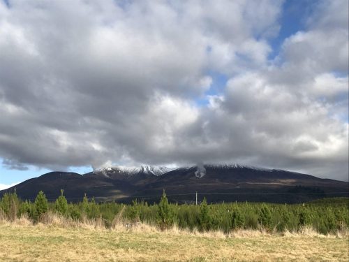 5d30183c-2a36-4a1f-a4e6-fb19c0adf32e