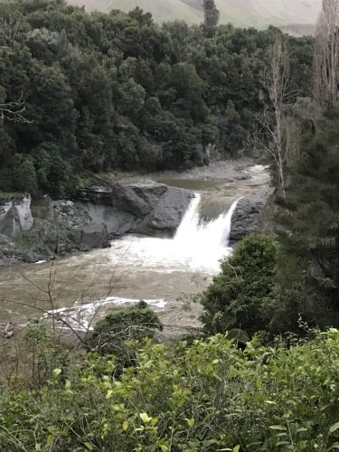 5e9afb0e-8982-41e5-8b82-f4cb789bfdab