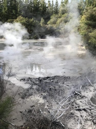 6b0e9e93-4f2c-4ae7-9466-232066504248