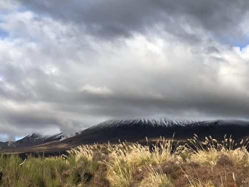 76fa9dcc-8772-4892-b2e8-d2b1c9fafe46