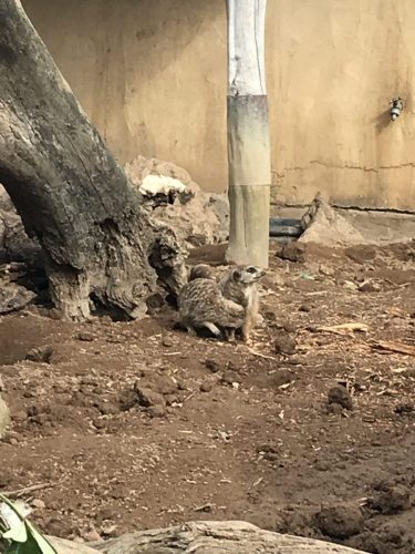 7fa67ba3-50cc-45a3-bb7e-48fa0f3e1ab4