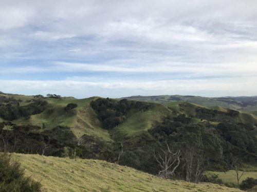 817c2e1c-2903-4705-b141-28ba62390ae1