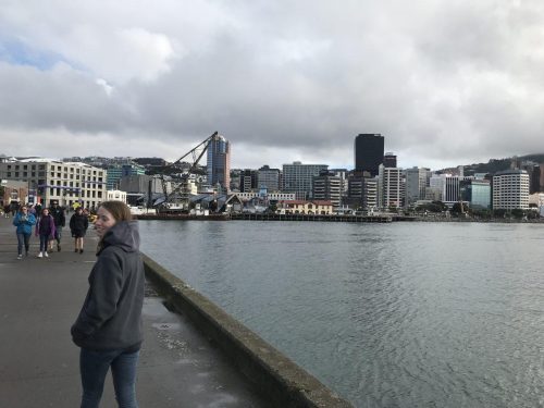 847ec3f9-0b2a-4625-8e52-8d0158a6d71c