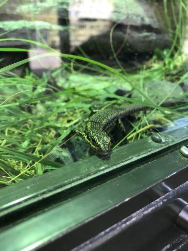 84d9d370-1010-492c-99f9-91244737be2c