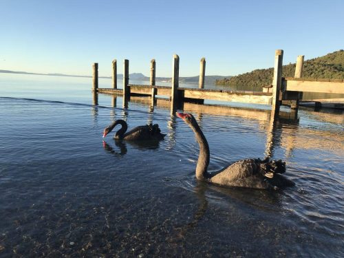 878b4fb8-a270-42c8-b483-7b291572e358