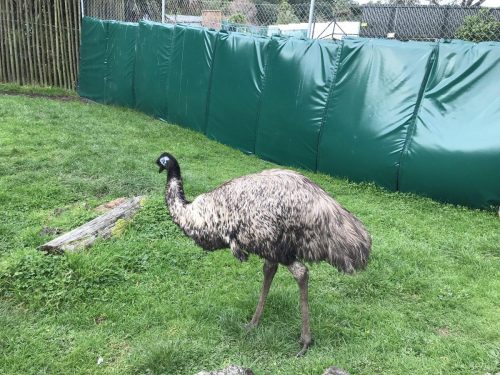 8d65de94-859a-4212-95b0-f902014f1119