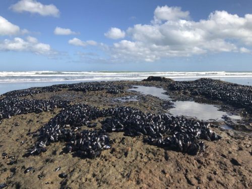 8f5133cf-5e32-4779-9e68-47dac19396f1