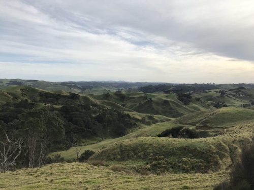 97e03a8b-f6c8-4c14-ba2e-bbd31d1f1d83