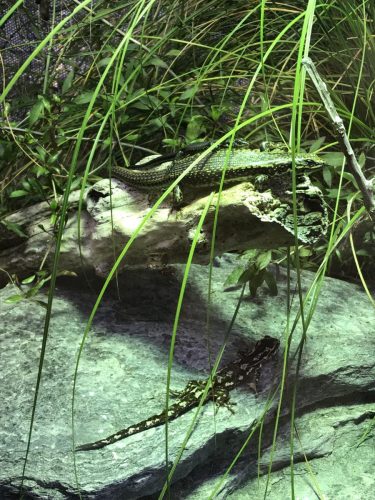 99b07120-10d1-4618-add0-4762dd74a0c5