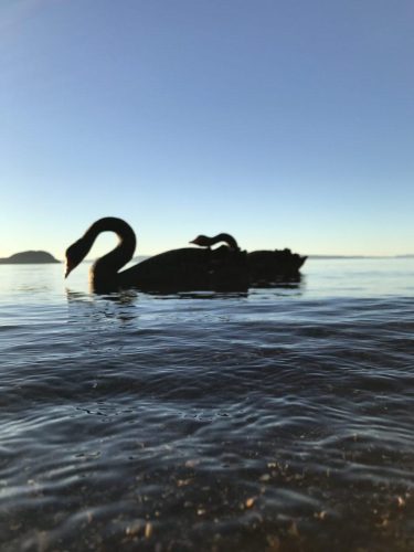 a06c93cd-0007-4da0-bac0-2b8dba405fc8