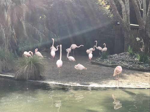 a1cfd3fe-2cb7-4034-ba25-3a2022c19df2