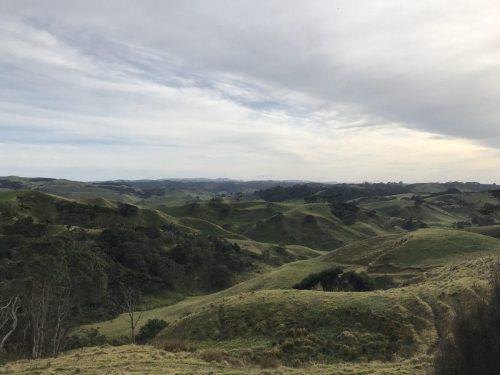 a4c99058-ce85-4675-95a3-0d3ffc241f46