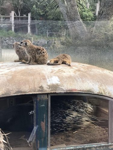 a69a2027-6b6c-4761-86fb-c8628d9e14fa