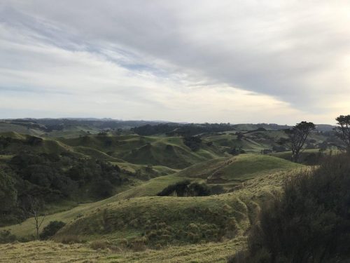 a704b47f-635b-44a0-9a6c-cb75d6186236