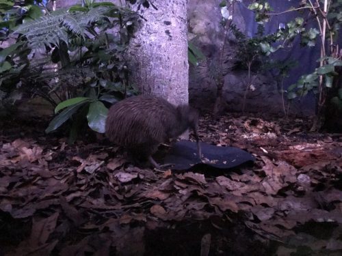 a7c91f59-2a18-45aa-85d7-772e4f66fdf1