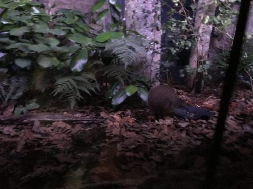 ac2d27b8-59a7-4ec1-8df9-e9de6b4fd9b8