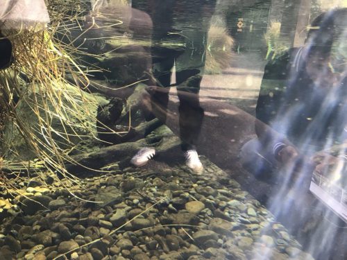 b3c8eec0-2e85-4232-b045-7587f678a1b4